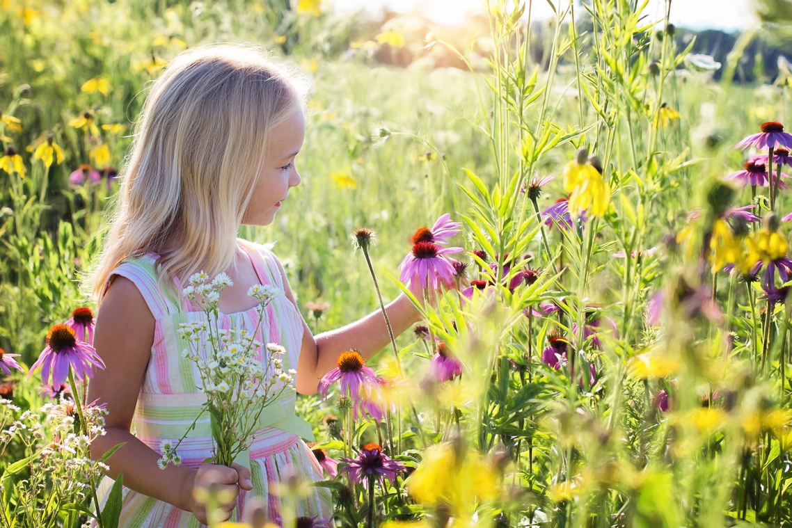 Little Girl in the Field of Flowers